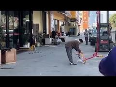 新しい年に一緒に歓喜しよう